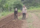 Bhabinkamtibmas Polsek Nyalindung di Desa Sukamaju Ajak Warga Dukung Ketahanan Pangan dan Jaga Kamtibmas