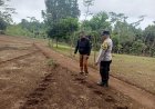 Polsek Nyalindung Polres Sukabumi Monitoring Lahan Penanaman Jagung untuk Dukung Ketahanan Pangan