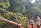 Polsek Ciemas Polres Sukabumi Gerak Cepat Tangani Dampak Tanah Longsor di Jalan Kabupaten Desa Ciemas