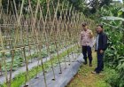 Dukung Program Ketahanan Pangan Nasional, Bhabinkamtibmas Sukaluyu Gelar DDS dan Ajak Warga Optimalisasi Lahan Pekarangan