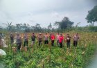 Dukung Ketahanan Pangan Nasional, Kapolsek Cidahu Bersama Bhayangkari Laksanakan Panen Jagung Hibrida