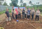 Polsek Kalapanunggal Polres Sukabumi Laksanakan Penanaman Jagung Hibrida Kuartal I Tahun 2026