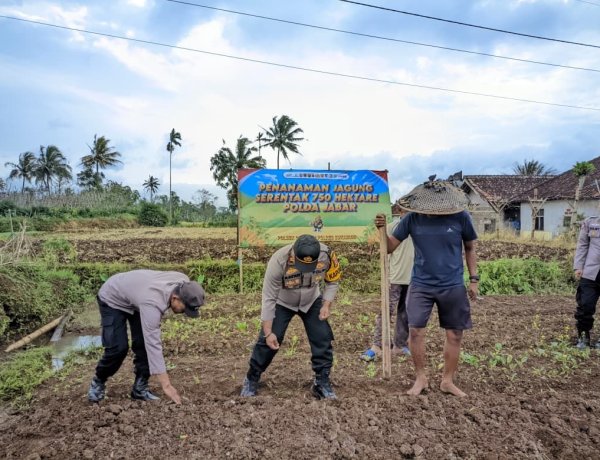 Polsek Caringin Polres Sukabumi Laksanakan Penanaman Jagung Hibrida Kuartal I di Desa Pasir Datar Indah